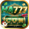 HA 777 Icon